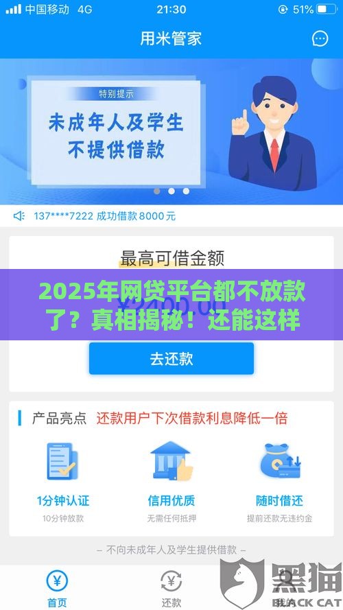 2025年网贷平台都不放款了？真相揭秘！还能这样借钱