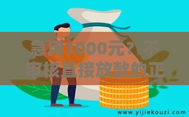 急用1000元？不审核直接放款的正规网贷靠谱吗