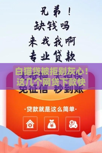 白猫贷被拒别灰心！这几个网贷下款快、门槛低