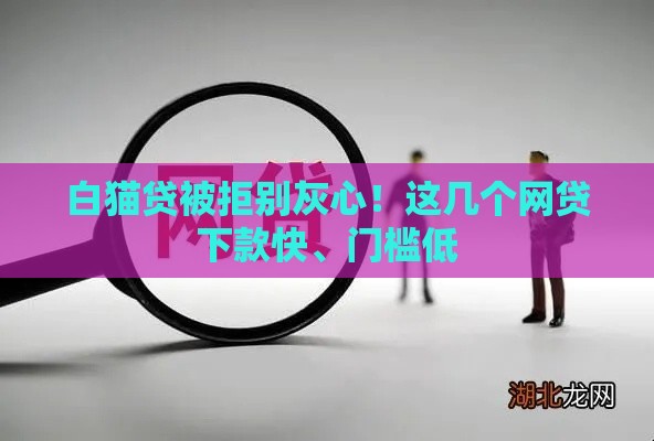 白猫贷被拒别灰心！这几个网贷下款快、门槛低