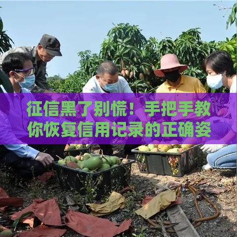 征信黑了别慌！手把手教你恢复信用记录的正确姿势