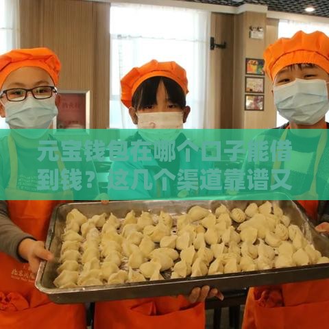 元宝钱包在哪个口子能借到钱？这几个渠道靠谱又安全！