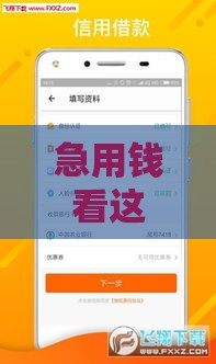 急用钱看这里！这5个口子审核快放款稳到账