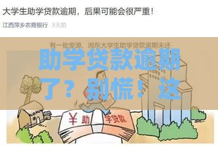 助学贷款逾期了？别慌！这5招帮你补救信用