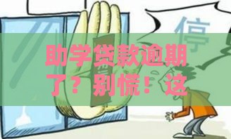助学贷款逾期了？别慌！这5招帮你补救信用