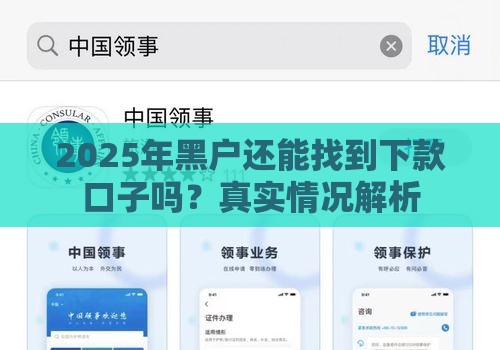 2025年黑户还能找到下款口子吗？真实情况解析
