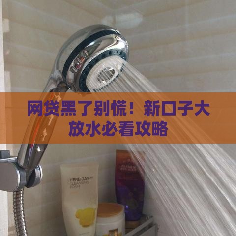 网贷黑了别慌！新口子大放水必看攻略