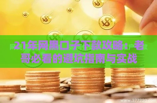 21年网黑口子下款攻略：老哥必看的避坑指南与实战技巧