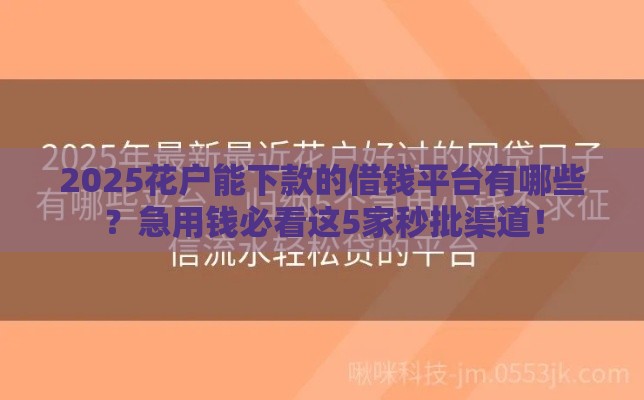 2025花户能下款的借钱平台有哪些？急用钱必看这5家秒批渠道！