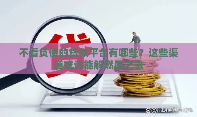 不看负债的贷款平台有哪些？这些渠道或许能解燃眉之急