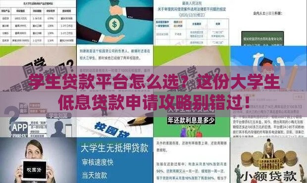 学生贷款平台怎么选？这份大学生低息贷款申请攻略别错过！