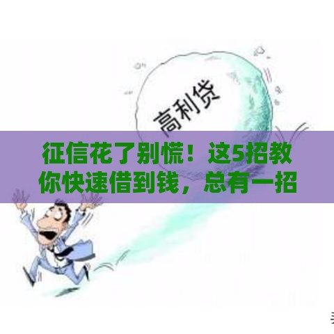 征信花了别慌！这5招教你快速借到钱，总有一招适合你