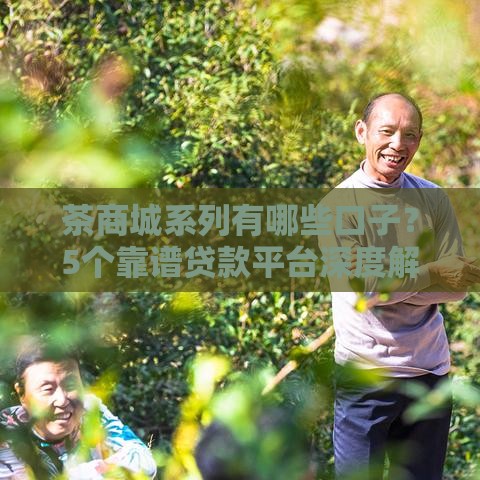 茶商城系列有哪些口子？5个靠谱贷款平台深度解析