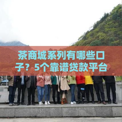 茶商城系列有哪些口子？5个靠谱贷款平台深度解析