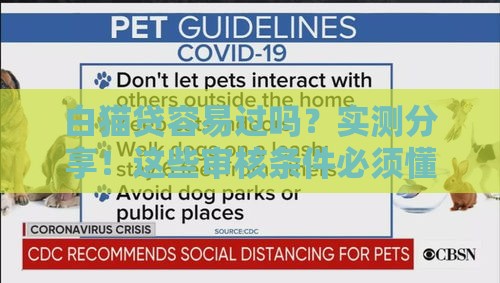 白猫贷容易过吗？实测分享！这些审核条件必须懂