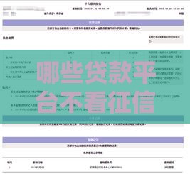 哪些贷款平台不看征信容易借？实测这5家最快3分钟到账
