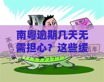 南粤逾期几天无需担心？这些缓冲期要牢记！（附补救攻略）