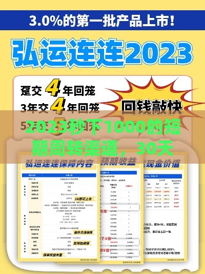 2023秒下1000的短期周转渠道，30天真实测评+避坑指南