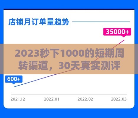 2023秒下1000的短期周转渠道，30天真实测评+避坑指南