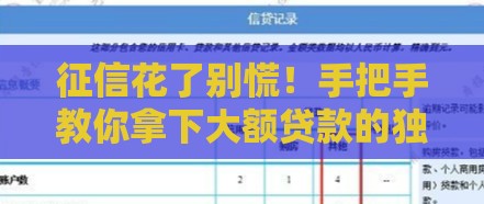 征信花了别慌！手把手教你拿下大额贷款的独家攻略