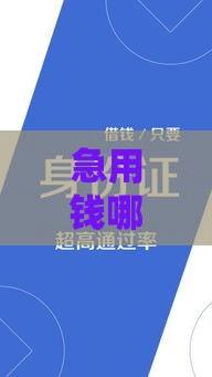 急用钱哪里能借到？这5个正规借款口子靠谱又安全！