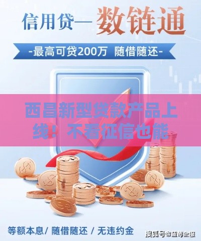 西昌新型贷款产品上线！不看征信也能申请？这些细节必须了解