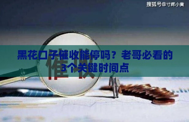 黑花口子催收能停吗？老哥必看的3个关键时间点