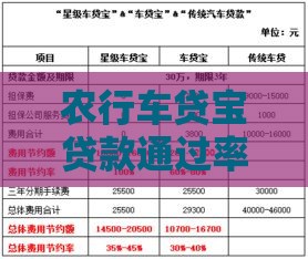 农行车贷宝贷款通过率高吗？真实数据解析+避坑指南