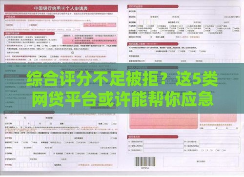 综合评分不足被拒？这5类网贷平台或许能帮你应急！