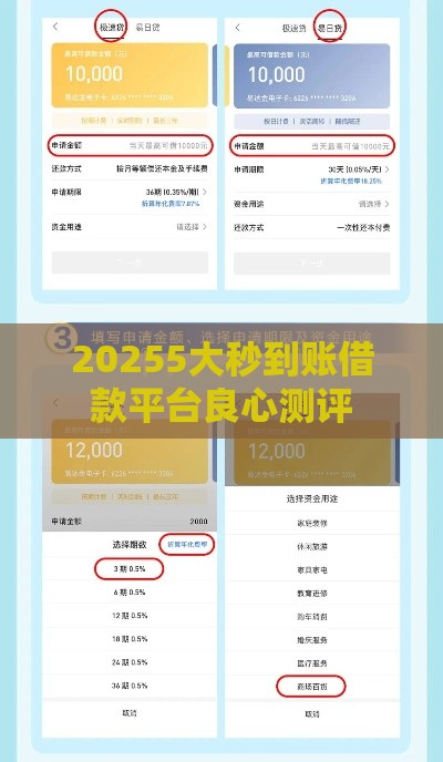 20255大秒到账借款平台良心测评