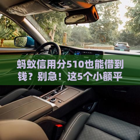 蚂蚁信用分510也能借到钱？别急！这5个小额平台或许能帮你