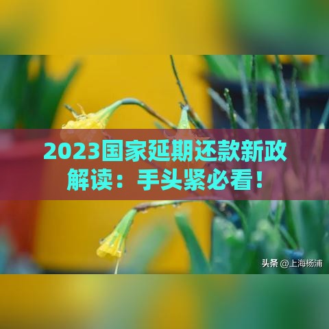 2023国家延期还款新政解读：手头紧必看！