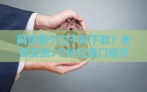 网贷哪个口子好下款？老哥实测3个秒过低门槛平台