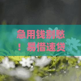 急用钱别愁！易借速贷app下载安装教程+真实体验分享