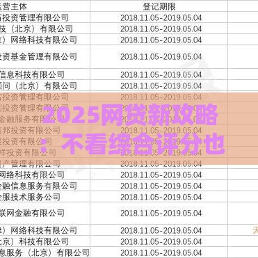2025网贷新攻略：不看综合评分也能百分百下款？真实经验分享