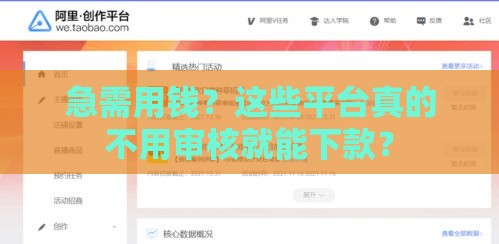 急需用钱？这些平台真的不用审核就能下款？