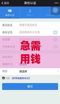 急需用钱？这些平台真的不用审核就能下款？