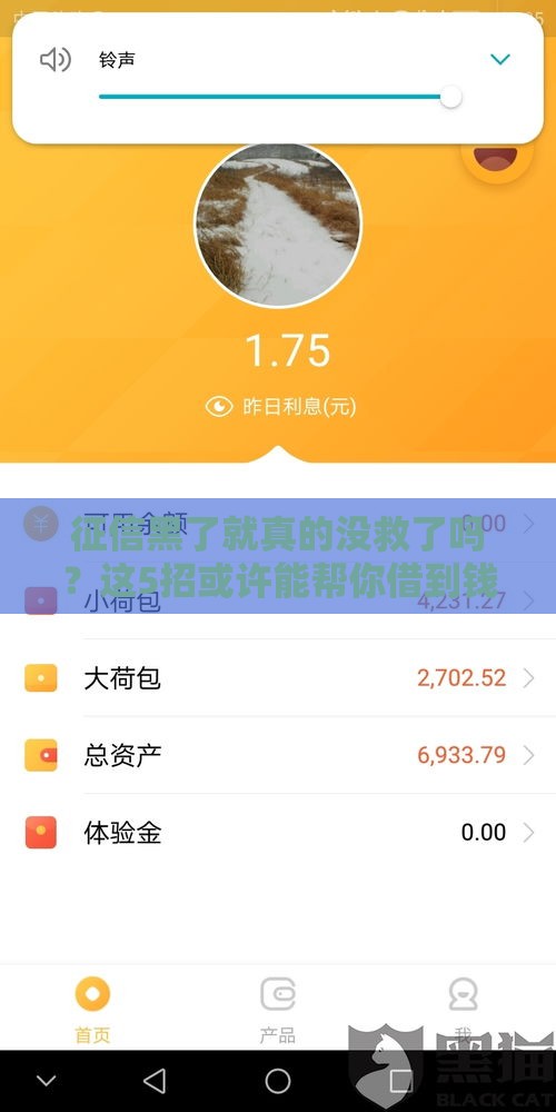 征信黑了就真的没救了吗？这5招或许能帮你借到钱