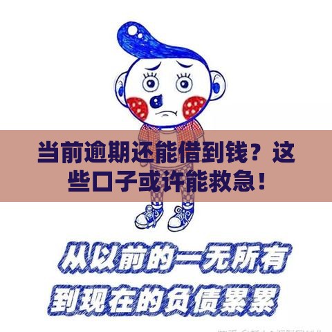 当前逾期还能借到钱？这些口子或许能救急！