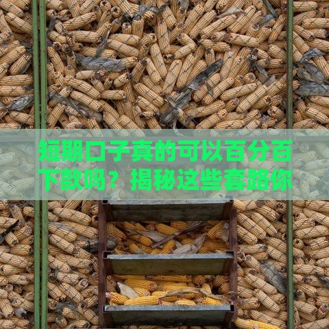 短期口子真的可以百分百下款吗?揭秘这些套路你得懂! 短期口子真的可以百分百下款吗?揭秘这些套路你得懂!