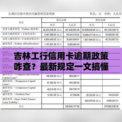 吉林工行信用卡逾期政策咋查？最新规定一文搞懂！
