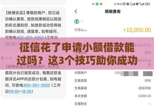 征信花了申请小额借款能过吗？这3个技巧助你成功下款！