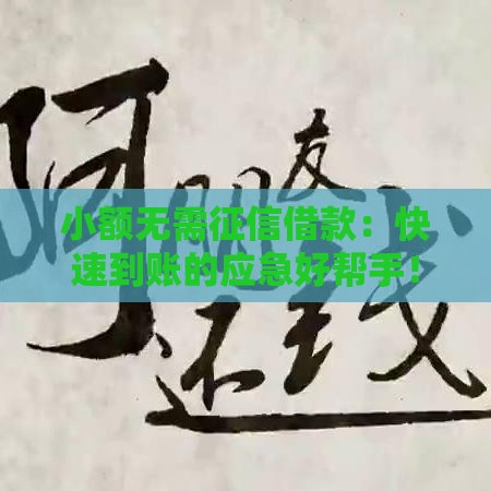 小额无需征信借款：快速到账的应急好帮手！