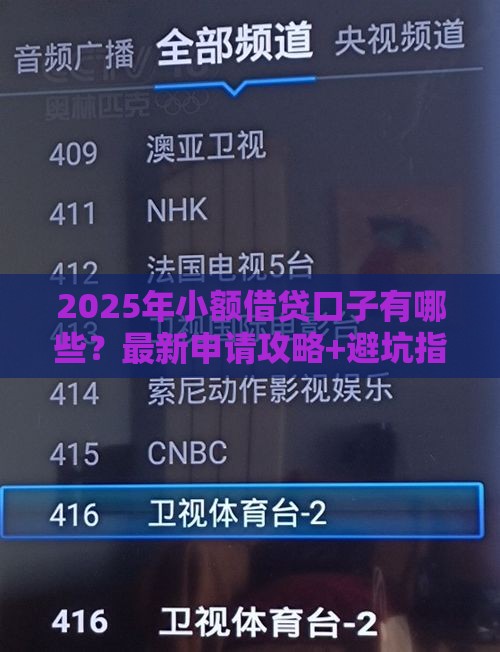 2025年小额借贷口子有哪些？最新申请攻略+避坑指南必看！