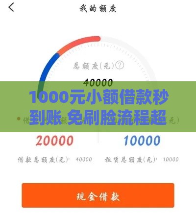 1000元小额借款秒到账 免刷脸流程超简单