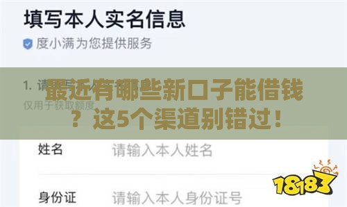最近有哪些新口子能借钱？这5个渠道别错过！