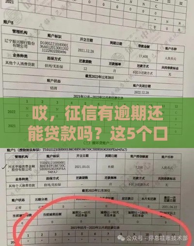 哎，征信有逾期还能贷款吗？这5个口子或许能帮你救急！