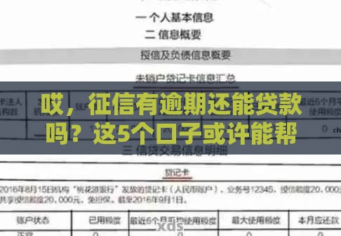 哎，征信有逾期还能贷款吗？这5个口子或许能帮你救急！