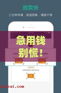 急用钱别慌！这些正规平台还能下款，额度高、审核快！