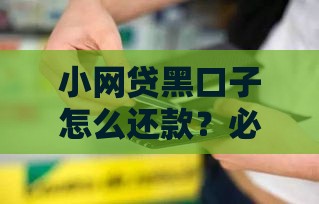 小网贷黑口子怎么还款？必看避坑指南与安全处理技巧